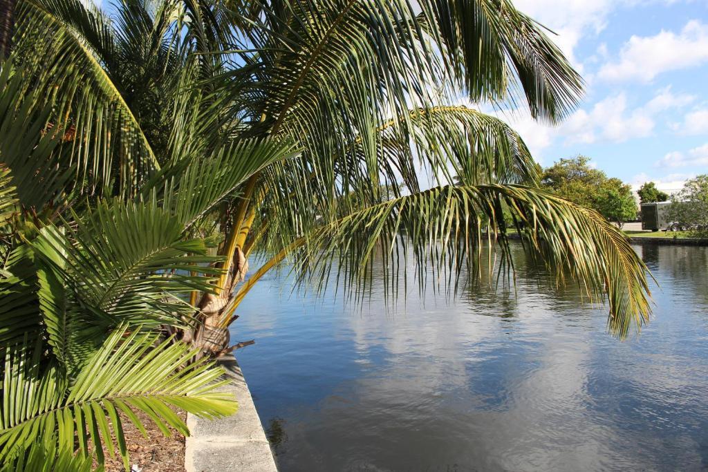 The Cabanas Guesthouse & Spa - Gay Resort Catering To Gay Men Oakland Park Eksteriør billede